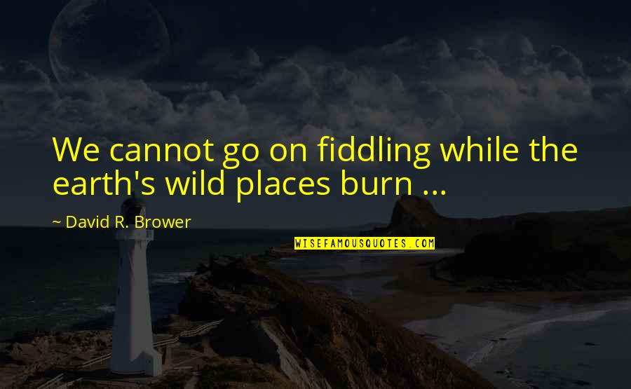 Bradwell Quotes By David R. Brower: We cannot go on fiddling while the earth's