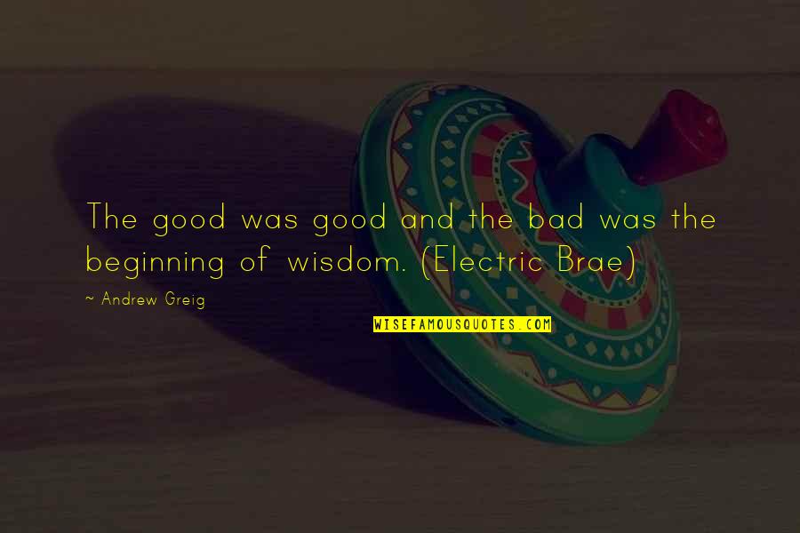Brae Quotes By Andrew Greig: The good was good and the bad was