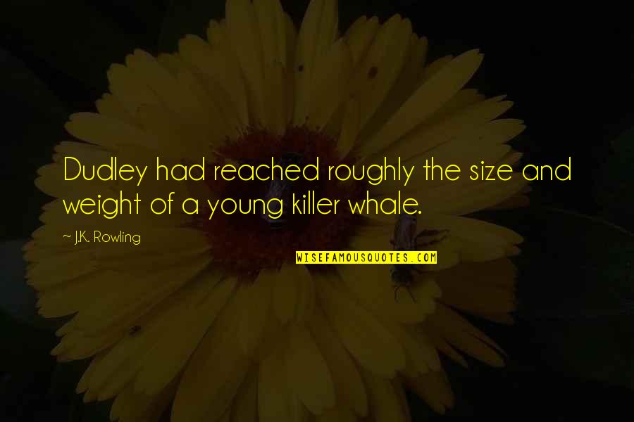 Bragado Informa Quotes By J.K. Rowling: Dudley had reached roughly the size and weight