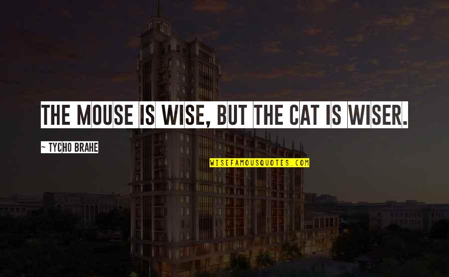 Brahe Quotes By Tycho Brahe: The mouse is wise, but the cat is
