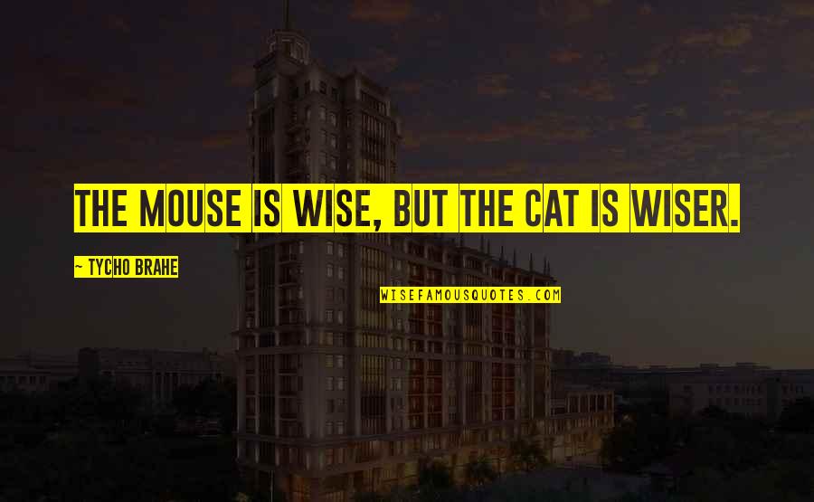 Brahe's Quotes By Tycho Brahe: The mouse is wise, but the cat is