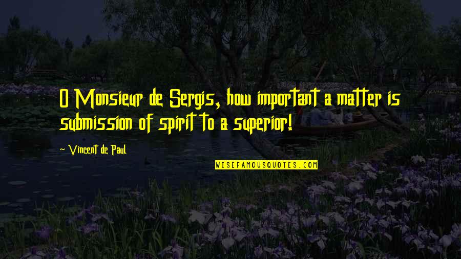 Brahima Ouedraogo Quotes By Vincent De Paul: O Monsieur de Sergis, how important a matter Brahima Ouedraogo Quotes By Vincent De Paul: O Monsieur de Sergis, how important a matter
