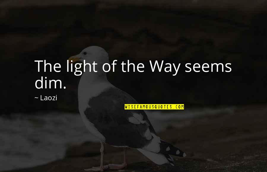 Brahimi Report Quotes By Laozi: The light of the Way seems dim.
