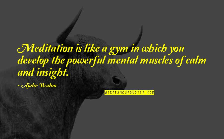 Brahm Quotes By Ajahn Brahm: Meditation is like a gym in which you