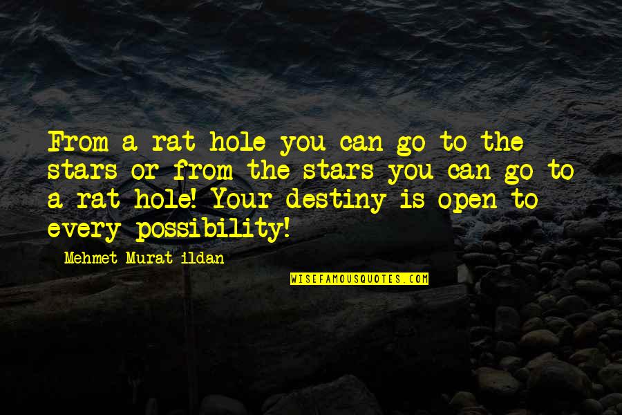 Brahmbhatt Md Quotes By Mehmet Murat Ildan: From a rat hole you can go to Brahmbhatt Md Quotes By Mehmet Murat Ildan: From a rat hole you can go to