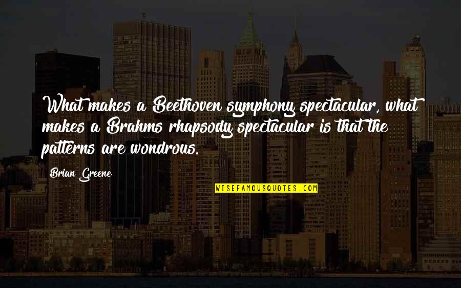 Brahms Quotes By Brian Greene: What makes a Beethoven symphony spectacular, what makes