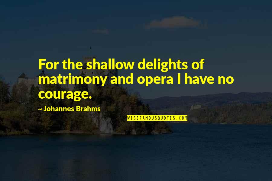 Brahms Quotes By Johannes Brahms: For the shallow delights of matrimony and opera