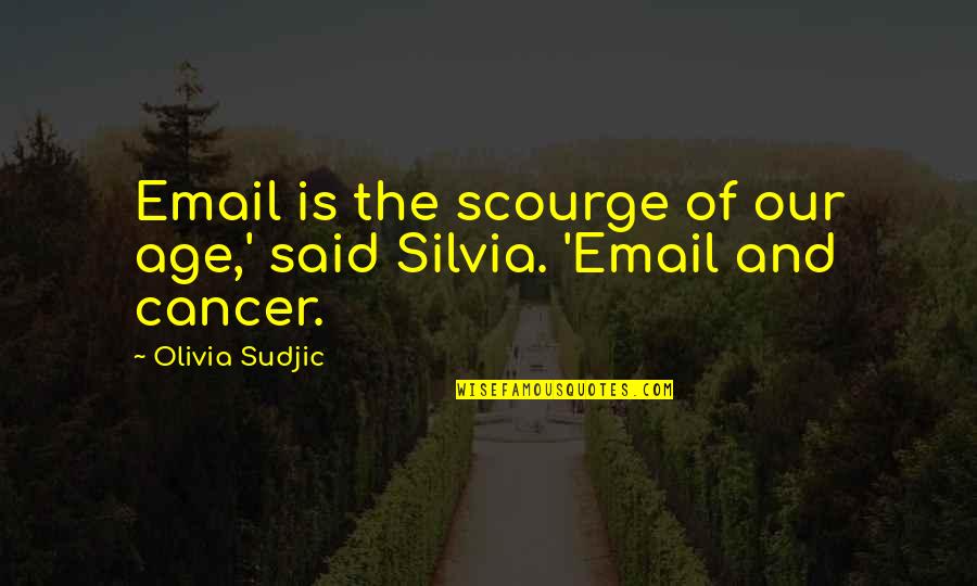 Brahmssongs Quotes By Olivia Sudjic: Email is the scourge of our age,' said
