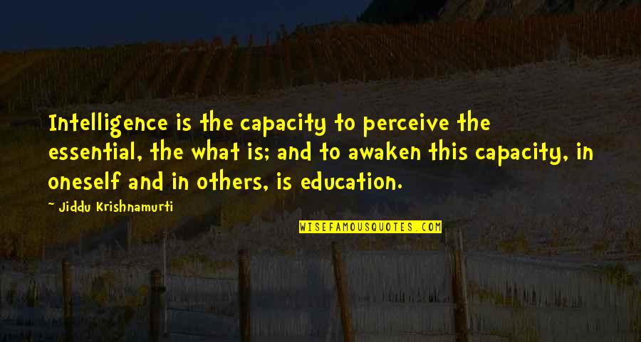 Braiden Waters Quotes By Jiddu Krishnamurti: Intelligence is the capacity to perceive the essential, Braiden Waters Quotes By Jiddu Krishnamurti: Intelligence is the capacity to perceive the essential,