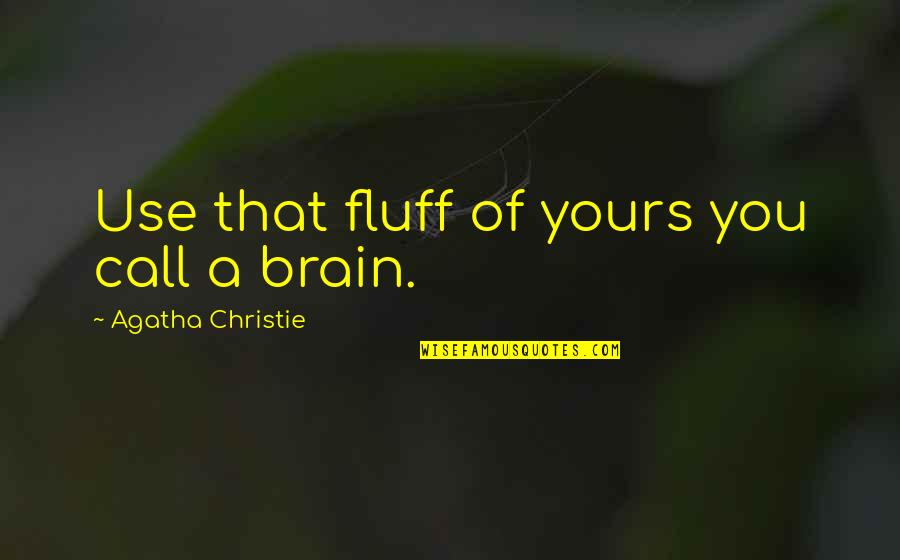 Brain And Humor Quotes By Agatha Christie: Use that fluff of yours you call a