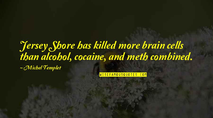 Brain And Humor Quotes By Michel Templet: Jersey Shore has killed more brain cells than