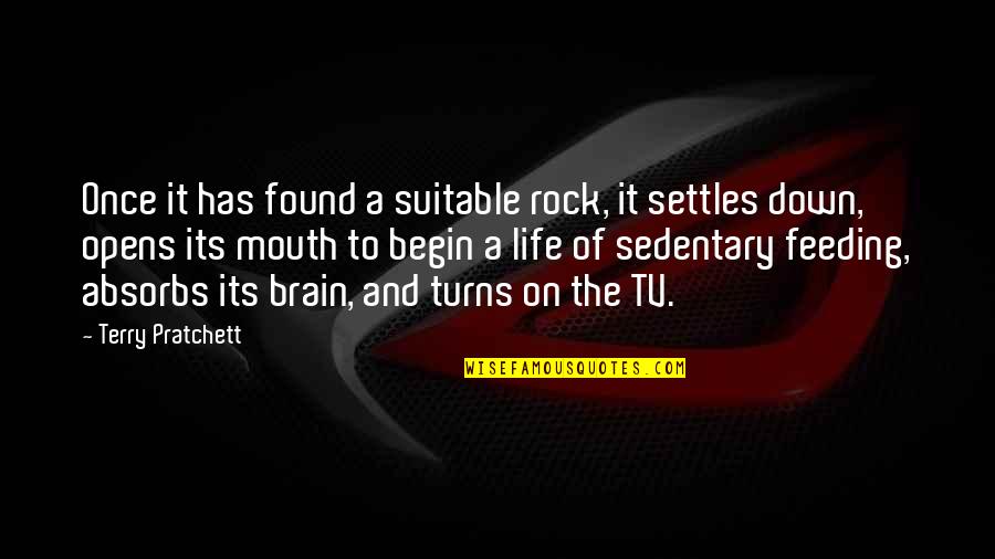 Brain And Mouth Quotes By Terry Pratchett: Once it has found a suitable rock, it