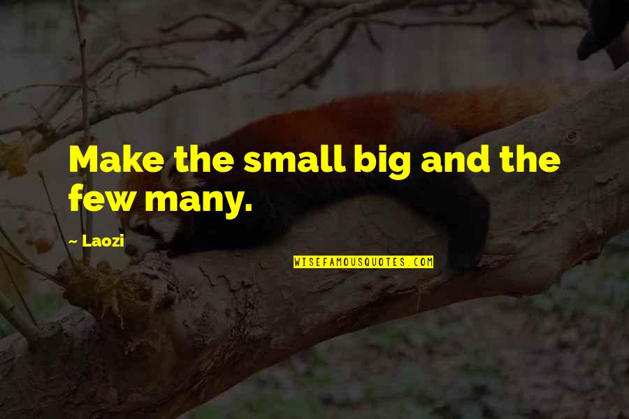 Brain And Pinky Quotes By Laozi: Make the small big and the few many.