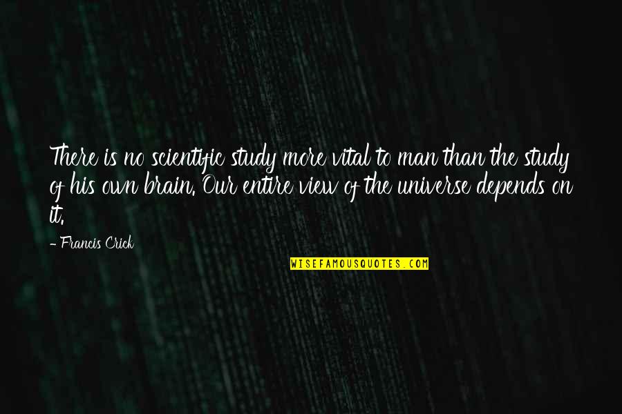 Brain And Universe Quotes By Francis Crick: There is no scientific study more vital to