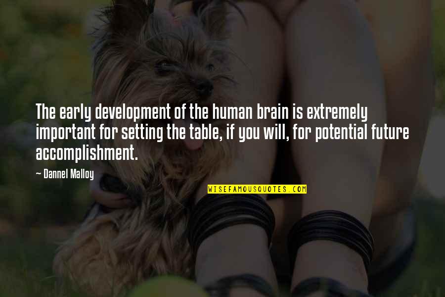 Brain Development Quotes By Dannel Malloy: The early development of the human brain is