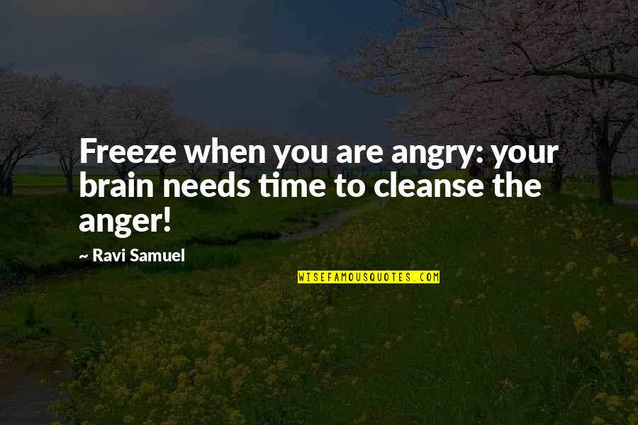Brain Freeze Quotes By Ravi Samuel: Freeze when you are angry: your brain needs