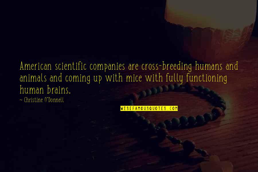 Brain Functioning Quotes By Christine O'Donnell: American scientific companies are cross-breeding humans and animals