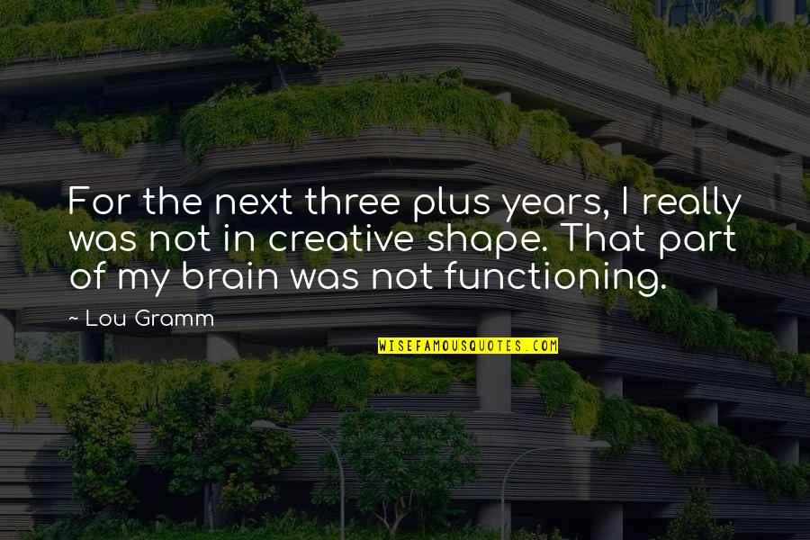 Brain Functioning Quotes By Lou Gramm: For the next three plus years, I really