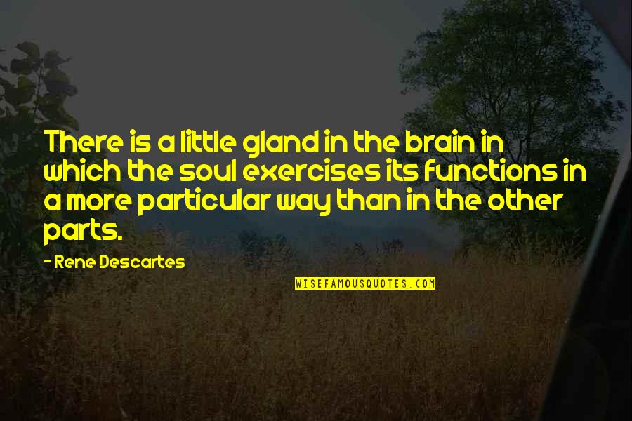 Brain Functions Quotes By Rene Descartes: There is a little gland in the brain