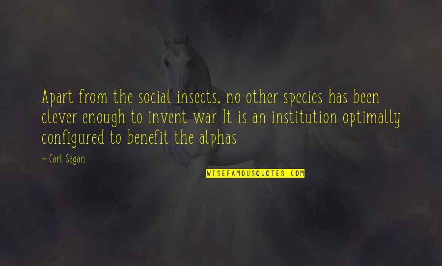 Brain Not Functioning Quotes By Carl Sagan: Apart from the social insects, no other species Brain Not Functioning Quotes By Carl Sagan: Apart from the social insects, no other species