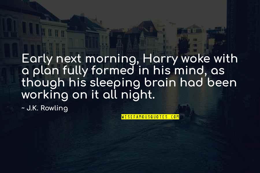 Brain Not Working Quotes By J.K. Rowling: Early next morning, Harry woke with a plan