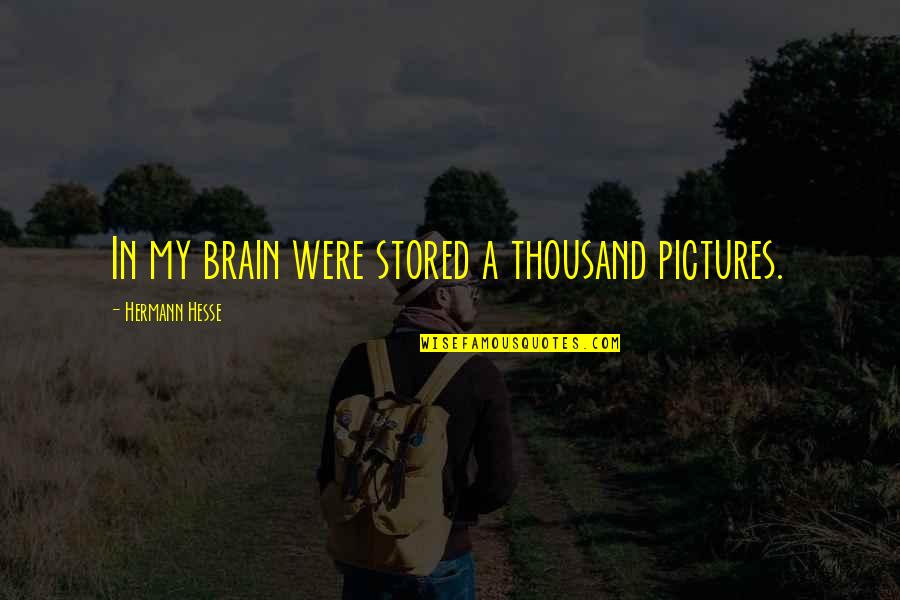 Brain Pictures Quotes By Hermann Hesse: In my brain were stored a thousand pictures.