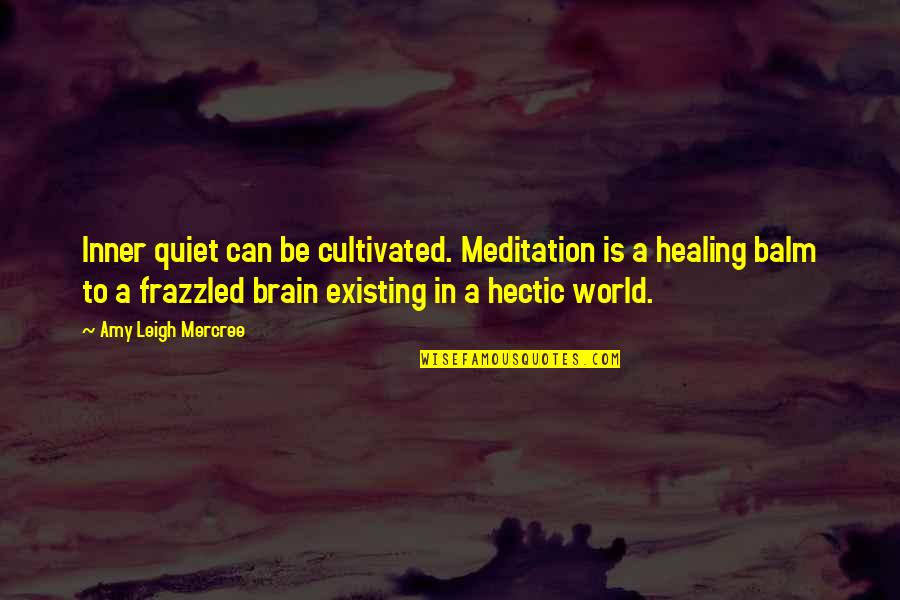 Brain Quotes By Amy Leigh Mercree: Inner quiet can be cultivated. Meditation is a