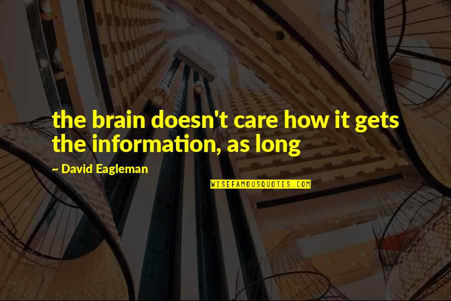 Brain Quotes By David Eagleman: the brain doesn't care how it gets the