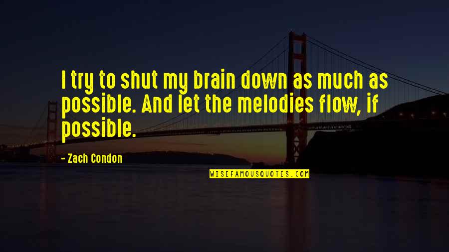 Brain Quotes By Zach Condon: I try to shut my brain down as