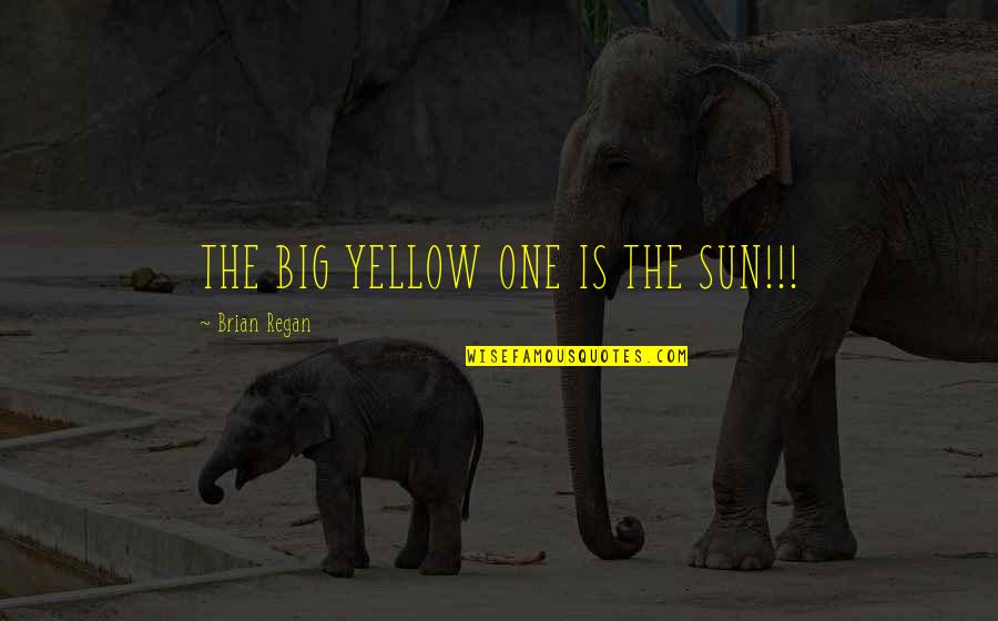 Brain Sharpening Quotes By Brian Regan: THE BIG YELLOW ONE IS THE SUN!!!