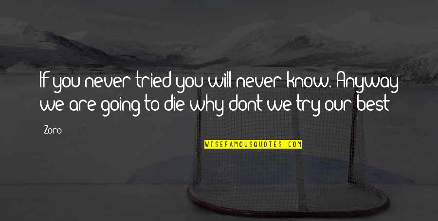 Brain States Quotes By Zoro: If you never tried you will never know.