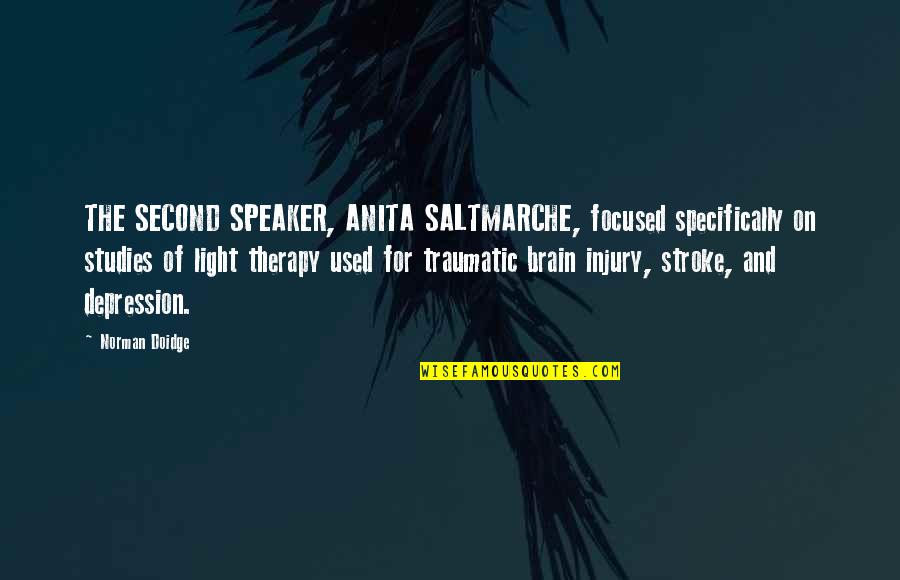 Brain Stroke Quotes By Norman Doidge: THE SECOND SPEAKER, ANITA SALTMARCHE, focused specifically on