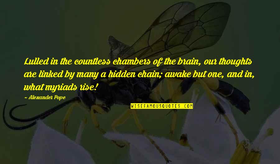 Brain Thoughts Quotes By Alexander Pope: Lulled in the countless chambers of the brain,