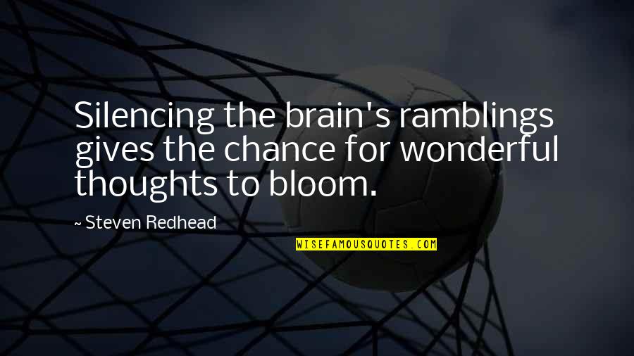 Brain Thoughts Quotes By Steven Redhead: Silencing the brain's ramblings gives the chance for