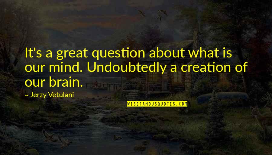 Brain Vs Mind Quotes By Jerzy Vetulani: It's a great question about what is our