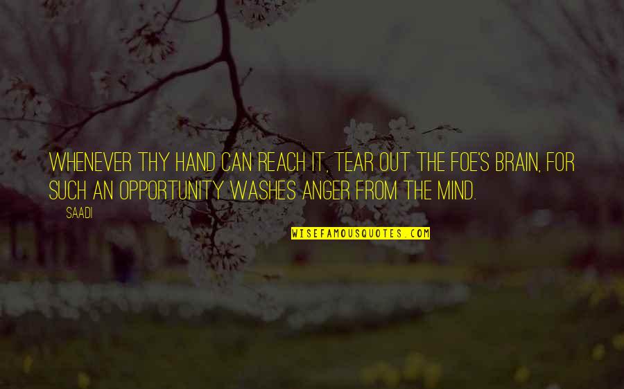 Brain Vs Mind Quotes By Saadi: Whenever thy hand can reach it, tear out