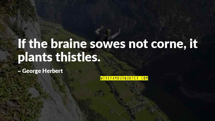 Braine Quotes By George Herbert: If the braine sowes not corne, it plants