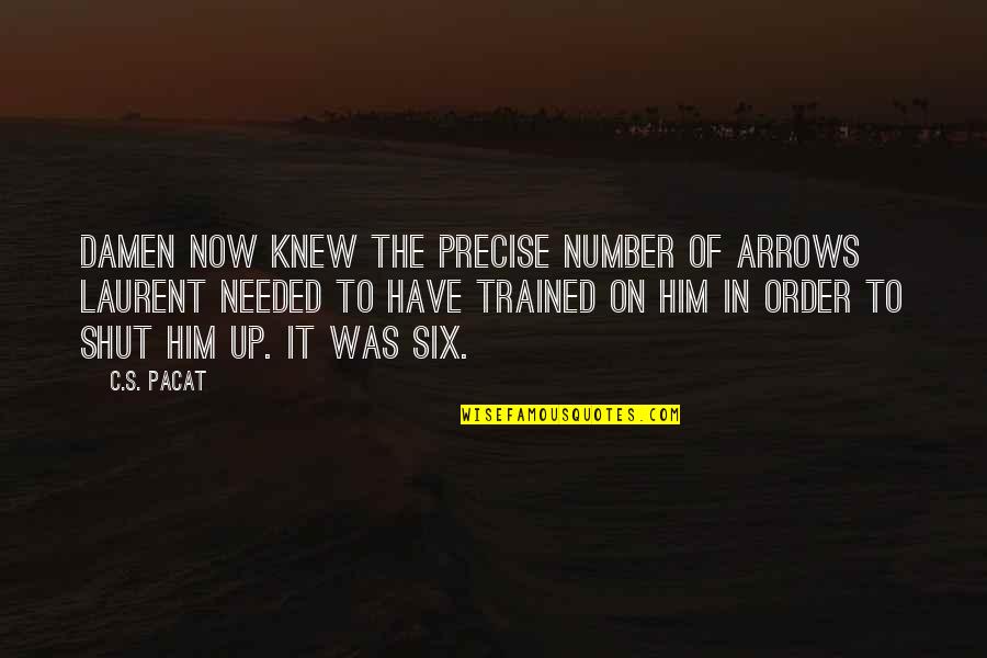 Brainsell Technologies Quotes By C.S. Pacat: Damen now knew the precise number of arrows