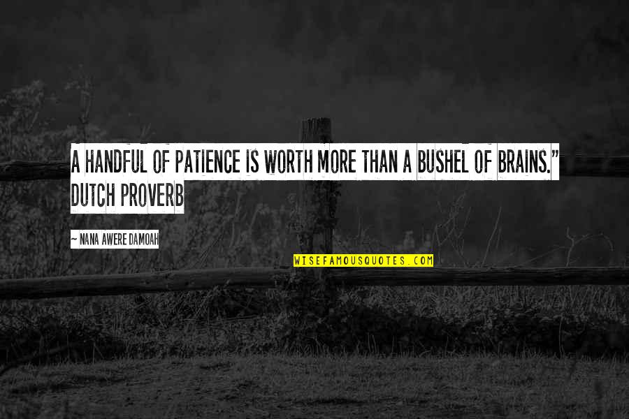 Brains'll Quotes By Nana Awere Damoah: A handful of patience is worth more than