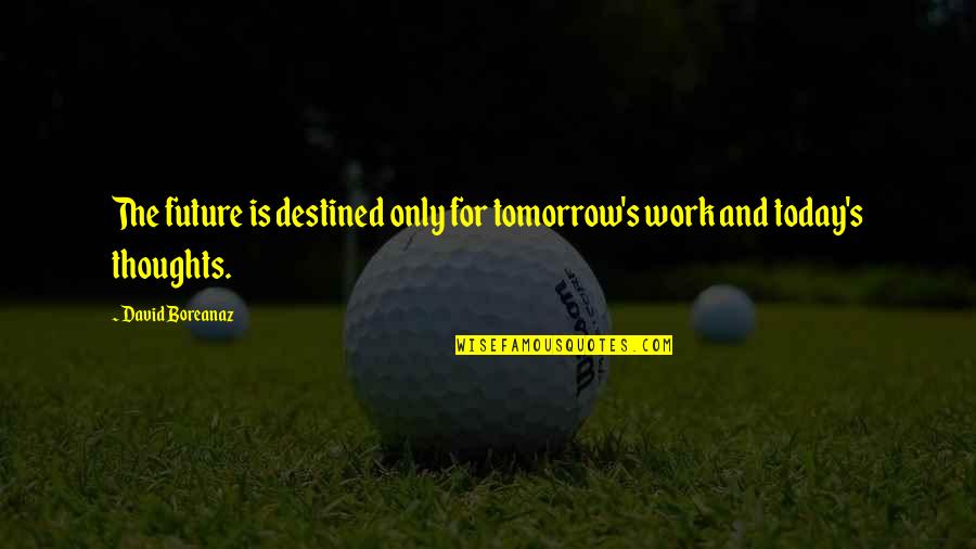 Brajendra Mishra Quotes By David Boreanaz: The future is destined only for tomorrow's work