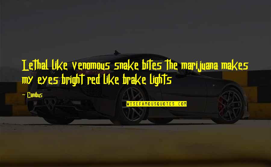 Brake Quotes By Canibus: Lethal like venomous snake bites the marijuana makes