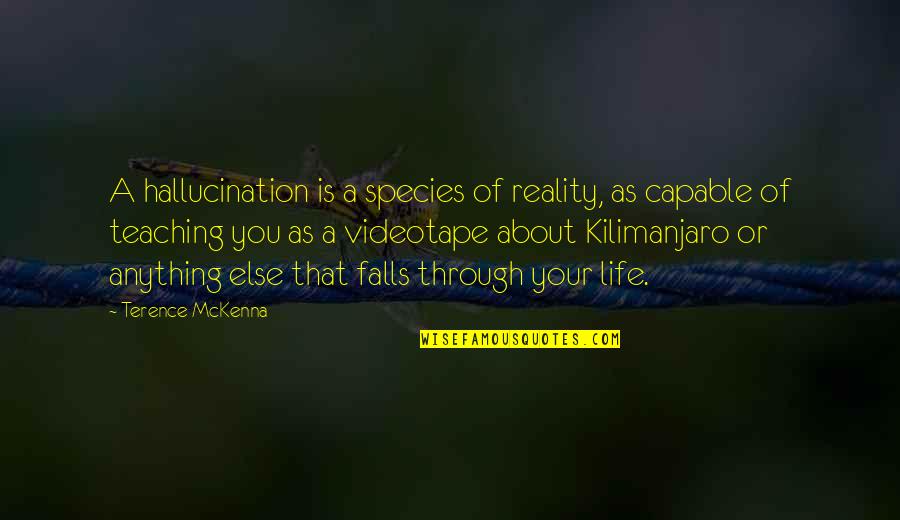 Braked Quotes By Terence McKenna: A hallucination is a species of reality, as