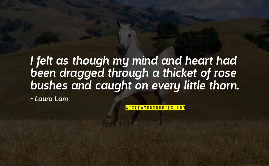 Braklow Quotes By Laura Lam: I felt as though my mind and heart Braklow Quotes By Laura Lam: I felt as though my mind and heart