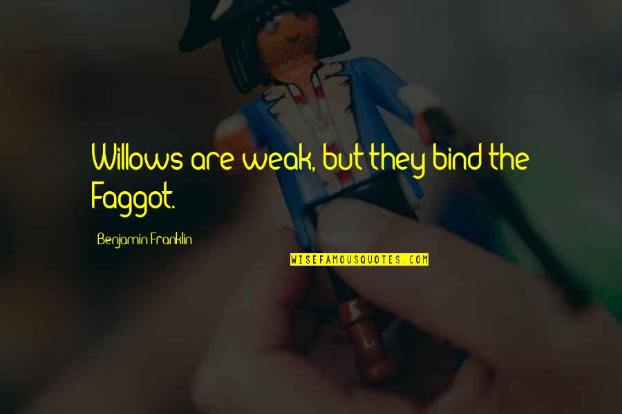Bramall Foundation Quotes By Benjamin Franklin: Willows are weak, but they bind the Faggot. Bramall Foundation Quotes By Benjamin Franklin: Willows are weak, but they bind the Faggot.
