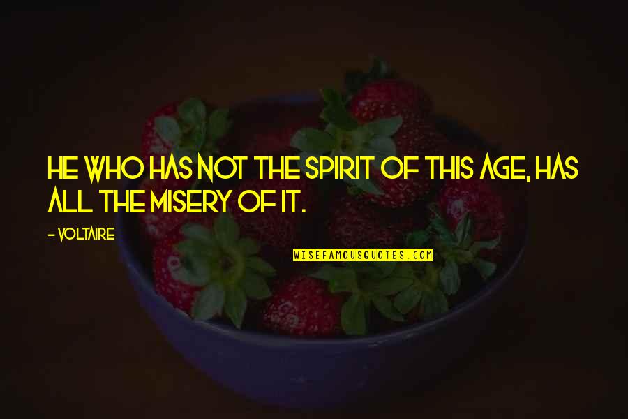 Bramall Hall Quotes By Voltaire: He who has not the spirit of this