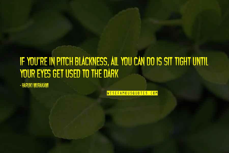 Bramanti Lyons Quotes By Haruki Murakami: If you're in pitch blackness, all you can