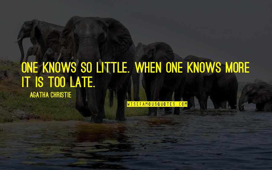 Bramer Animal Hospital Evanston Quotes By Agatha Christie: One knows so little. When one knows more