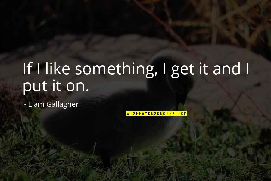 Bramlett Quotes By Liam Gallagher: If I like something, I get it and Bramlett Quotes By Liam Gallagher: If I like something, I get it and