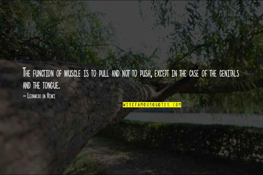 Bramstones Quotes By Leonardo Da Vinci: The function of muscle is to pull and Bramstones Quotes By Leonardo Da Vinci: The function of muscle is to pull and