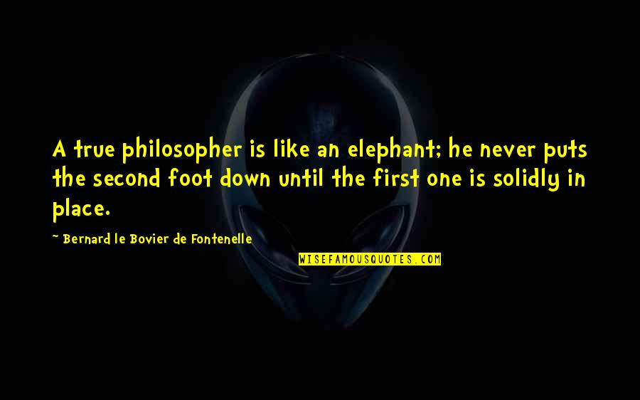 Branch Anniversary Quotes By Bernard Le Bovier De Fontenelle: A true philosopher is like an elephant; he